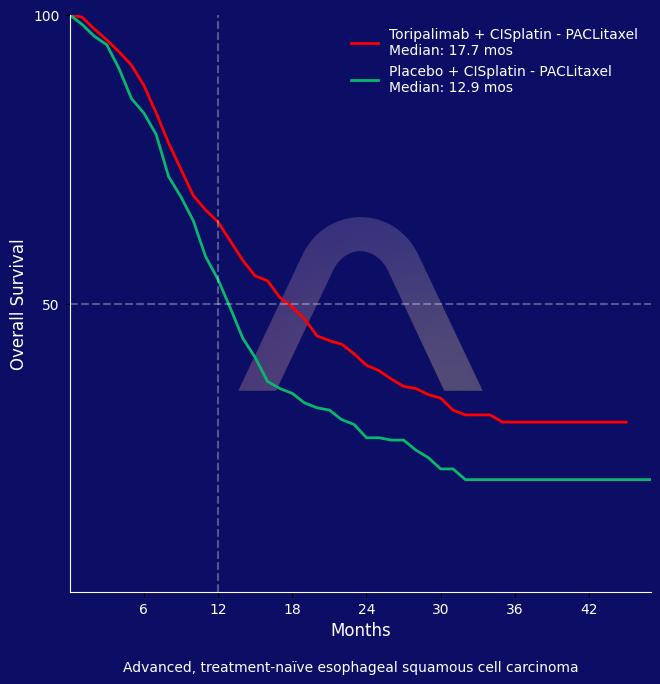 New Reference: Toripalimab with Chemotherapy for Advanced Esophageal SCC