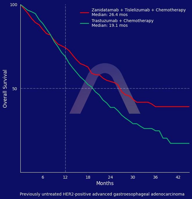 New Protocol: Zanidatamab with Chemotherapy for Metastatic HER2-Positive Gastroesophageal Cancer